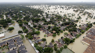Don’t Tell Trump, But His Administration Wants to Account for Sea Level Rise<em></em>